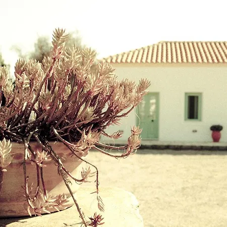 Casa de hóspedes Lemonia -