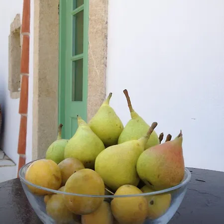 Lemonia - 4*
