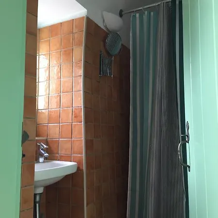 Lemonia -