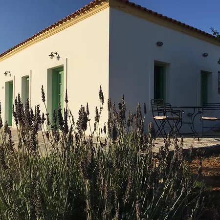 Pensionat Lemonia - 4*
