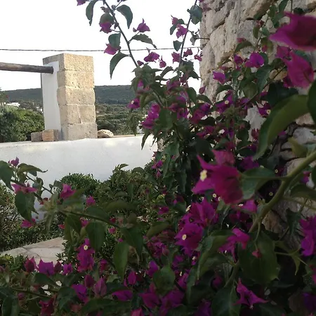 Maison d'hôtes Lemonia - Aroniadhiánika