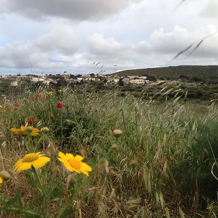 Maison d'hôtes Lemonia - Aroniadhiánika