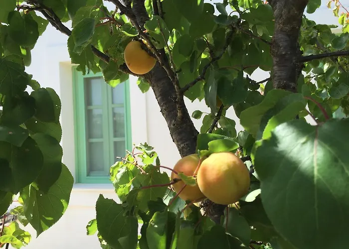 Πανσιόν Lemonia -