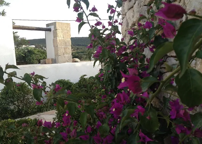 Πανσιόν Lemonia - Aroniadhiánika