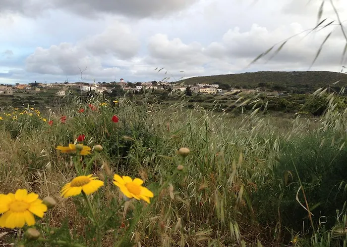 Πανσιόν Lemonia - Aroniadhiánika