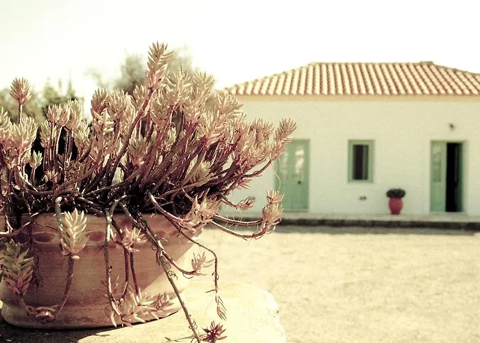 Πανσιόν Lemonia -